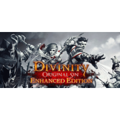 Divinity: Original Sin Enhanced Edition 💎STEAM РОССИЯ