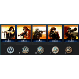 CSGO (CS2) - 5 Card sets of 5 cards (Steam Cards/Badge)