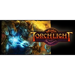 Torchlight 💎 АВТОДОСТАВКА STEAM GIFT РОССИЯ