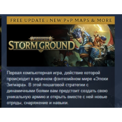 Warhammer Age of Sigmar: Storm Ground АВТОДОСТАВКА STEAM РОССИЯ