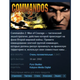 Commandos 2: Men of Courage (Region Free) + Steam 🃏