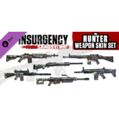 Insurgency: Sandstorm - Hunter Weapon Skin Set 💎 DLC