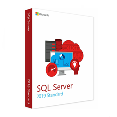 SQL Server 2019 Standard Edition