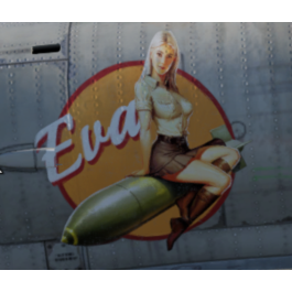 Coupon - War Thunder Starter Pack + Eva Elfie decal