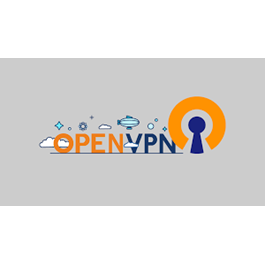 OPEN VPN profile activation file at 1Gb/s speed