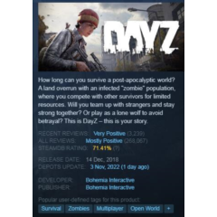 DayZ (Steam Key GLOBAL)