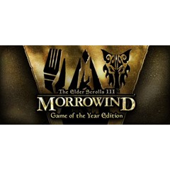 The Elder Scrolls III Morrowind GOTY. STEAM-ключ Россия