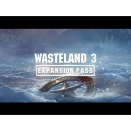 Wasteland 3 Steam CD Key REGION FREE