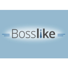 BossLike - Купон на 4.000 баллов Босслайк