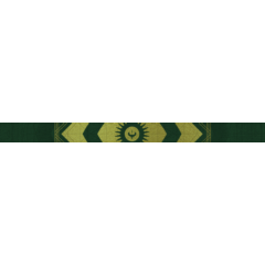 Destiny 2 - Emblem (Образ надежды) PC, PS, Xbox