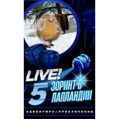 Зоринт в Лапландии