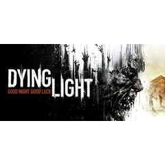 ⚡️Dying Light: Definitive Edition | Россия - Steam Gift