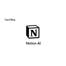 Notion plus AI  6 months use for you