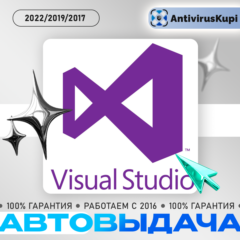 Visual Studio Professional 2026/2022/2019/2017