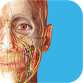 Human Anatomy Atlas 2025: Complete 3D ✅ Microsoft Store