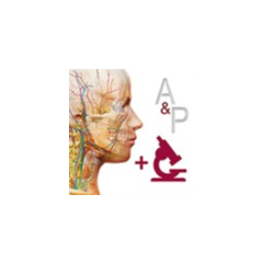 A&P: Anatomy and Physiology ✅ Microsoft Store ПК Активация