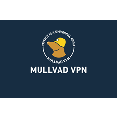 🌐 Mullvad VPN - 6 / 12 Месяцев - Код пополнения - АВТО