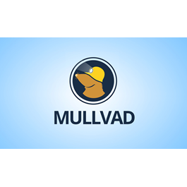 🛡️MULLVAD MULLVAD🕷 Account 1 month 🕷