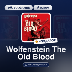 Wolfenstein The Old Blood (Steam Ключ) МИР (Не все страны) + ПОДАРОК
