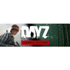 ⚡️DayZ Deluxe Edition | АВТОДОСТАВКА Steam gift Россия