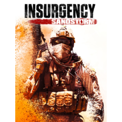 🔴 Insurgency: Sandstorm ✅ EPIC GAMES 🔴 (PC)