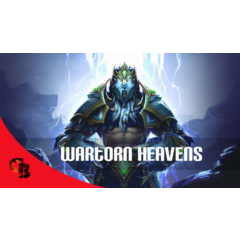 ✅Wartorn Heavens✅Collector&acute;s Cache 2016✅