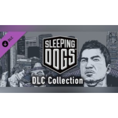 Sleeping Dogs DLC Collection (Original) STEAM Global