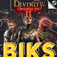 ⭐️Divinity Original Sin 2 ✅STEAM RU⚡АВТОДОСТАВКА💳0%