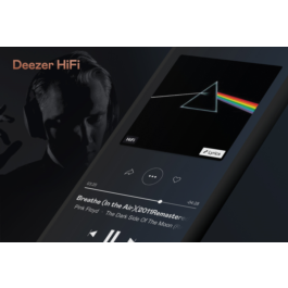 🔖DEEZER HI-FI1/2/3  MONTHS ★MAIL ACCESS ★WARRANTY💯