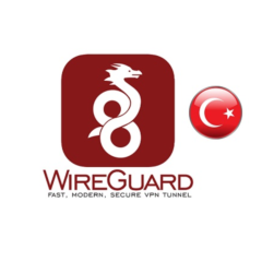 WireGuard VPN Польша 6 месяцев