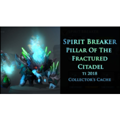 Pillar of the Fractured Citadel✅Collector&acute;s Cache 2018