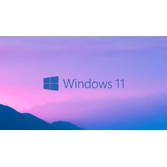 🔥Windows 11 Home 🔥