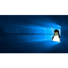 💎Pengwin Windows 10 ПК КЛЮЧ🔑