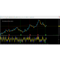 Elite Scalping and Binary options