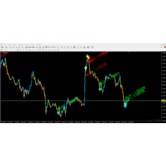 Forex ZUBR