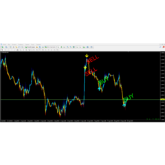 Forex ZUBR Modification