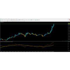 Traders Dynamic Index