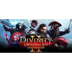 Divinity: Original Sin 2 * STEAM RU ⚡ АВТО 💳0%