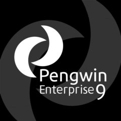 💎Pengwin Enterprise 9 Windows ПК КЛЮЧ🔑