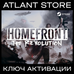 Homefront®: The Revolution / Ключ Steam / РФ+КЗ+УК+СНГ
