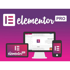 Лицензия Elementor Pro со всеми обновлениями на 1 год