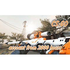 ⏩ CS:GO аккаунт ⭐ от 2000+ часов ✅  Почта 🦄