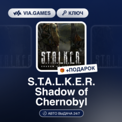 🔪 STALKER: Shadow of Chernobyl 🌼 Steam Ключ