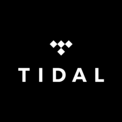 Tidal I Сервис по закачке файлов I Скачать