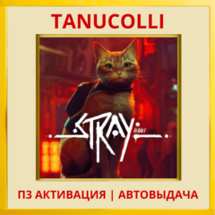 ☀️ Stray (PS4/PS5/RU) П3 - Активация