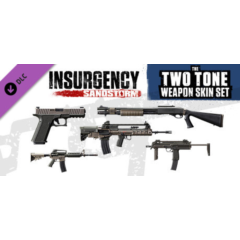 Insurgency: Sandstorm - Two-Tone Weapon Skin Set DLC