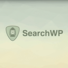 SearchWP [4.3.9] - Русификация плагина 💜🔥