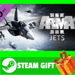 ⭐️ВСЕ СТРАНЫ+РОССИЯ⭐️ Arma 3 Jets Steam Gift