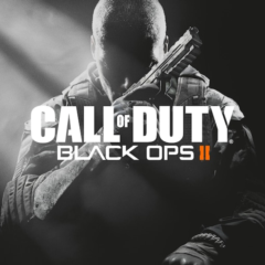 Все регионы☑️⭐Call of Duty: Black Ops 2 STEAM