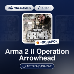 Arma 2 II Operation Arrowhead DLC (Steam Ключ) РФ-СНГ-МИР + ПОДАРОК